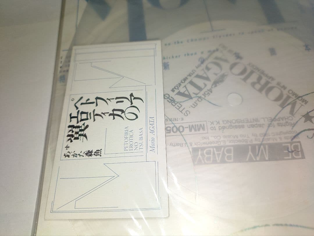 あがた森魚/BE MY BABY ソノシート付　'86年　季刊MoMo