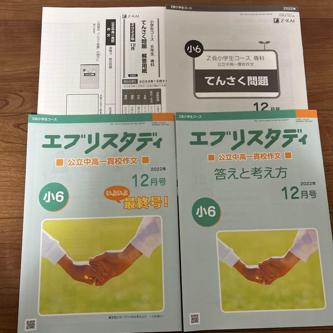 Z会 エブリスタディ 公立中高一貫校 作文 小6 2022年　4〜12月