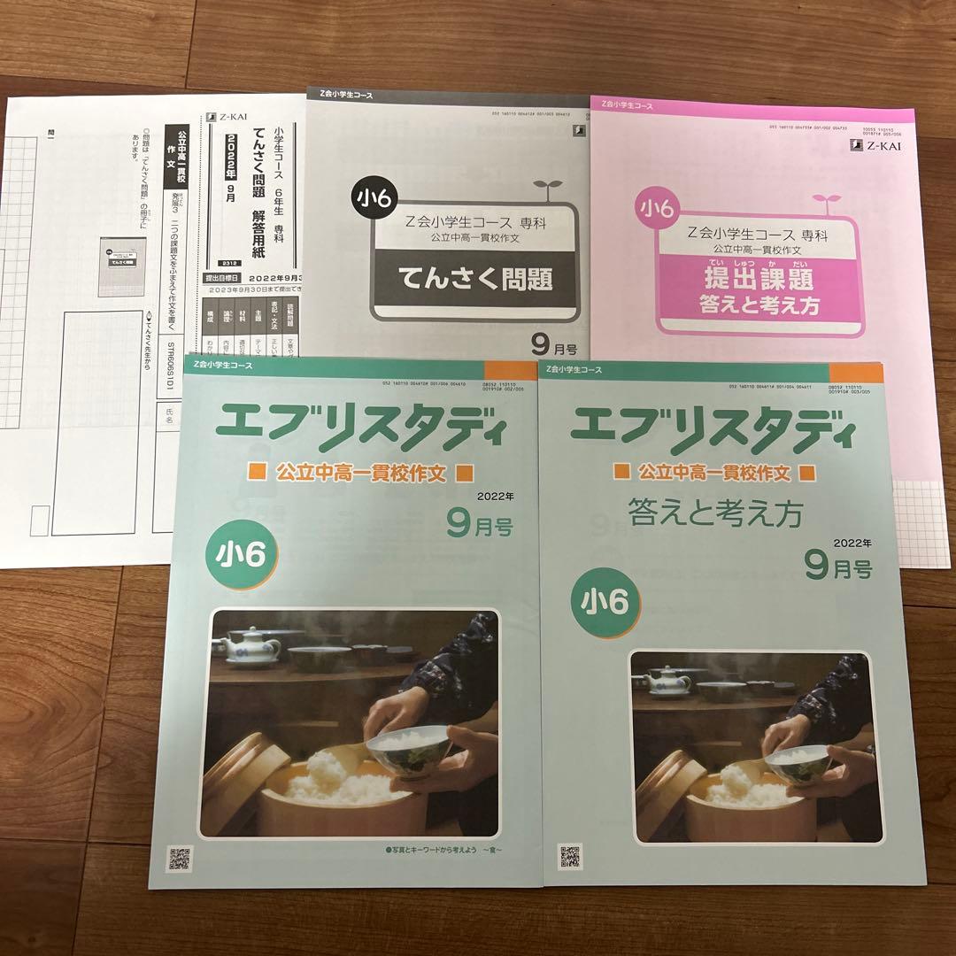 Z会 エブリスタディ 公立中高一貫校 作文 小6 2022年　4〜12月