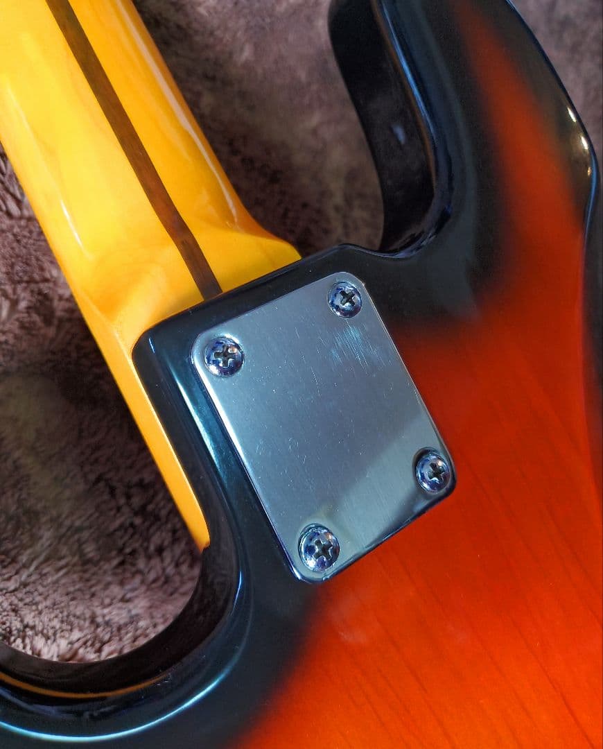 ​Jay Turser USA 5弦ベース【メイプル1ピースネック】希少　MOD