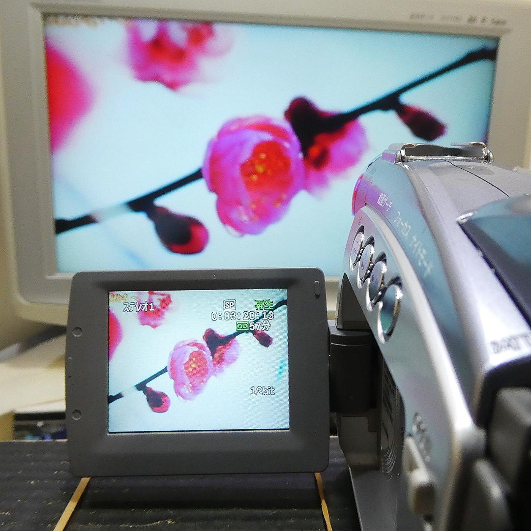 キャノン DM-FV M400 動作良好 MiniDVビデオ DVDダビングに