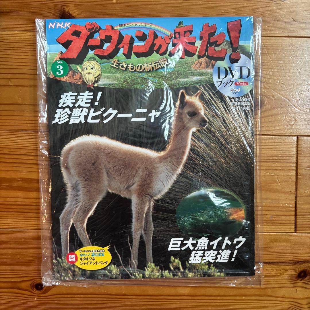NHK ダーウィンが来た！DVD 35巻セット