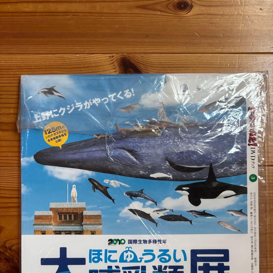 NHK ダーウィンが来た！DVD 35巻セット
