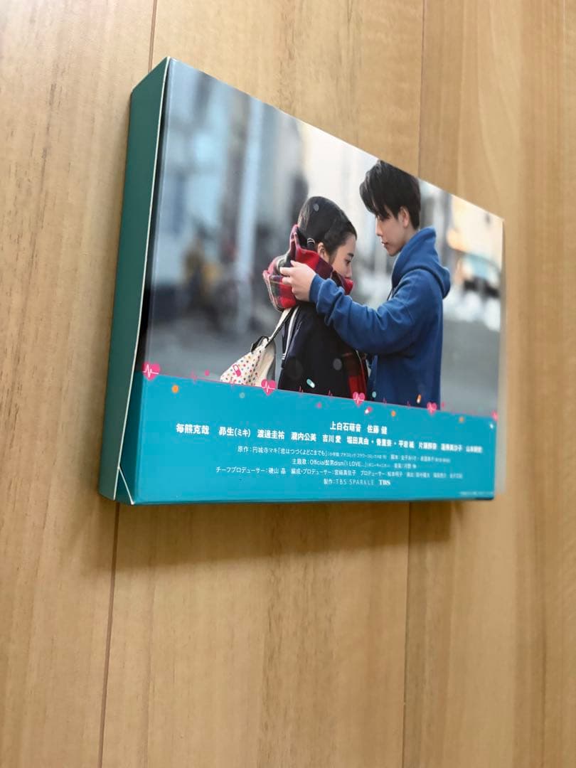 恋はつづくよどこまでも DVD + スペシャルブック