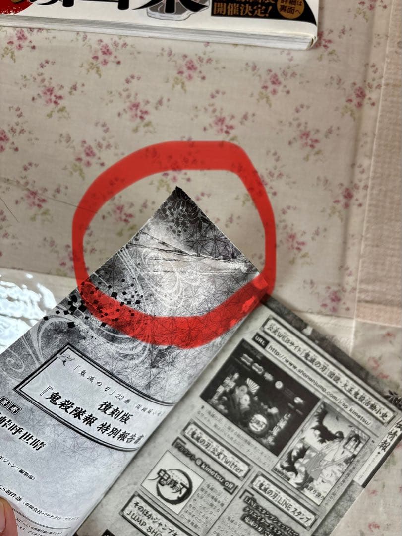 鬼滅の刃 全巻＋画集 幾星霜＋鬼殺隊見聞録2＋22巻同梱版缶バッジセット