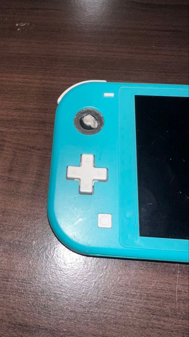 Nintendo Switch Lite 本体 ジャンク