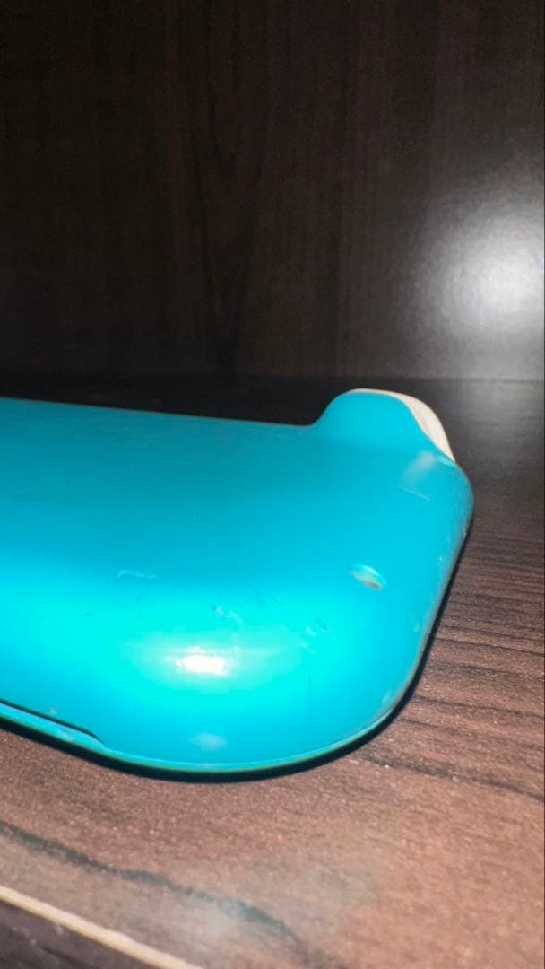 Nintendo Switch Lite 本体 ジャンク