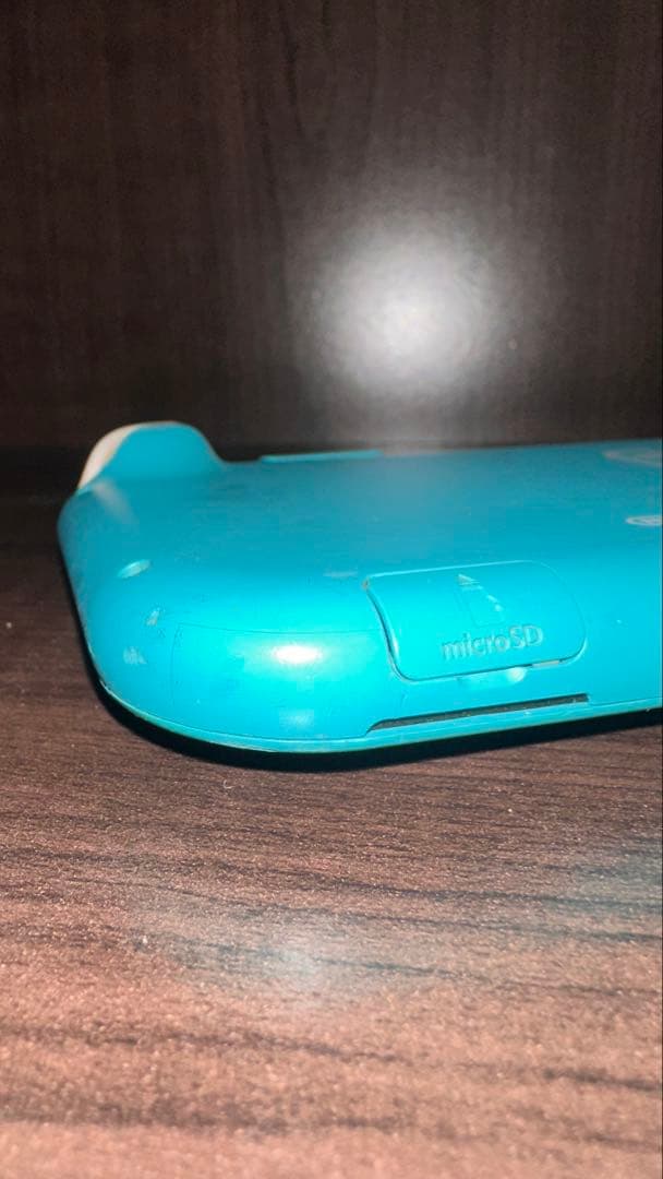 Nintendo Switch Lite 本体 ジャンク