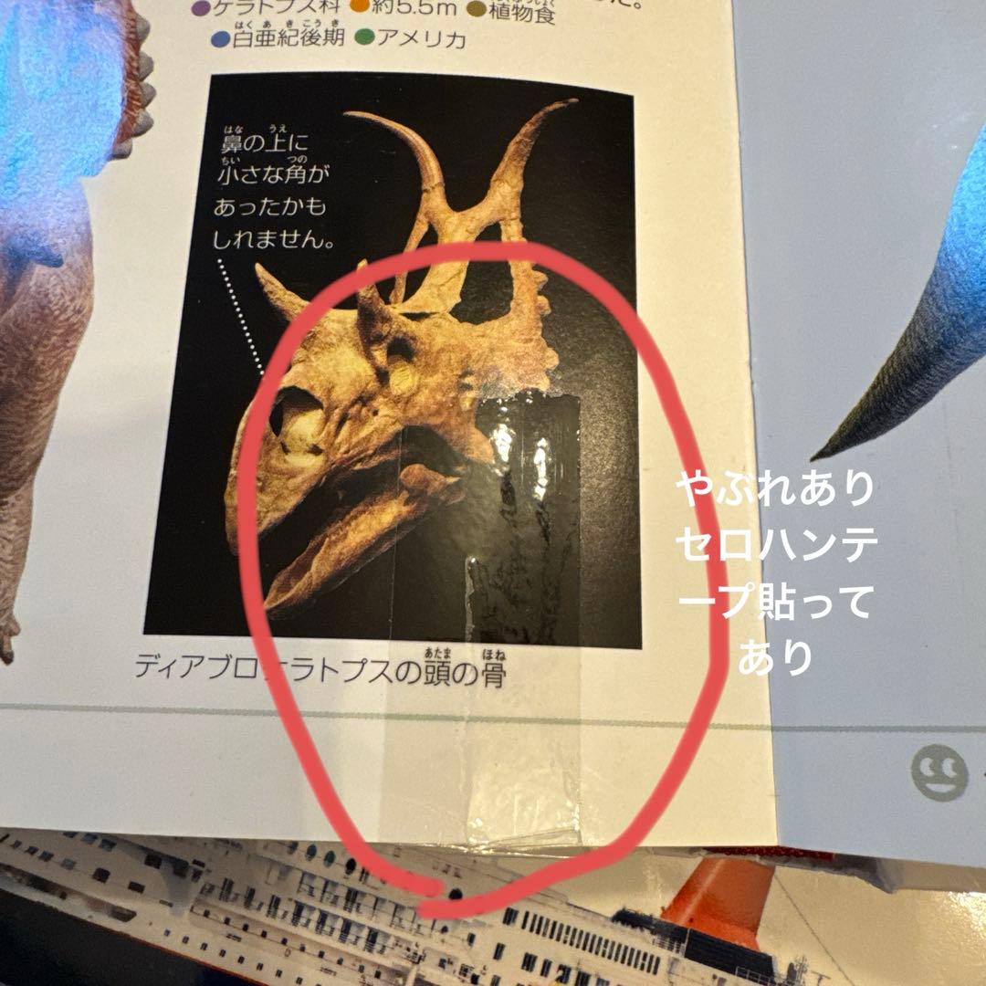 「ゆぅ」7セット　DVDつき