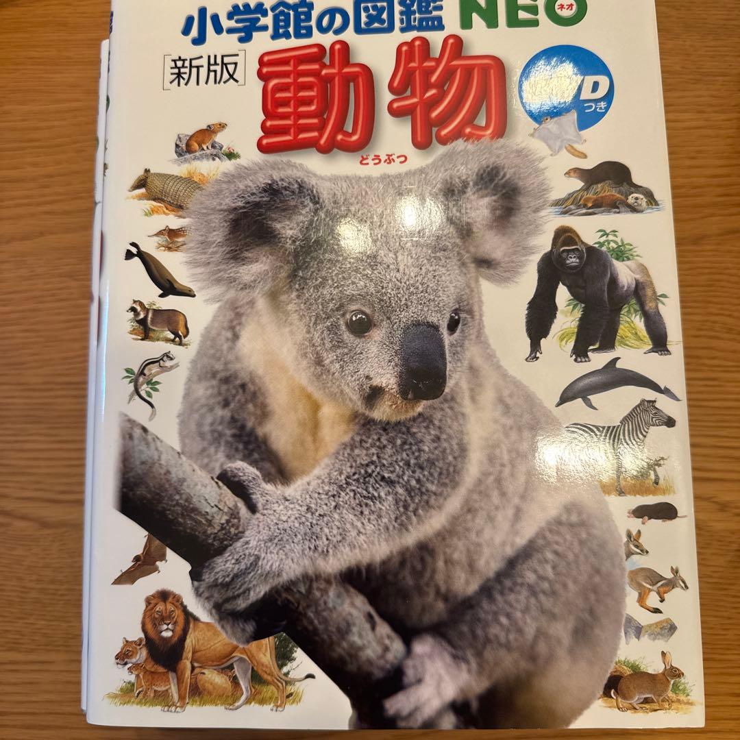 「ゆぅ」7セット　DVDつき