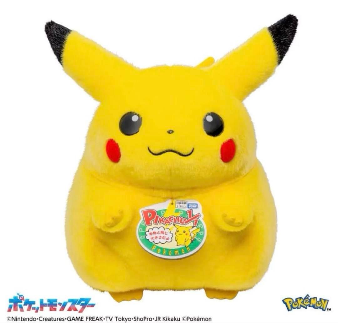 おかえりピカチュウ　大きめ ピカチュウ ぬいぐるみ タグ付き