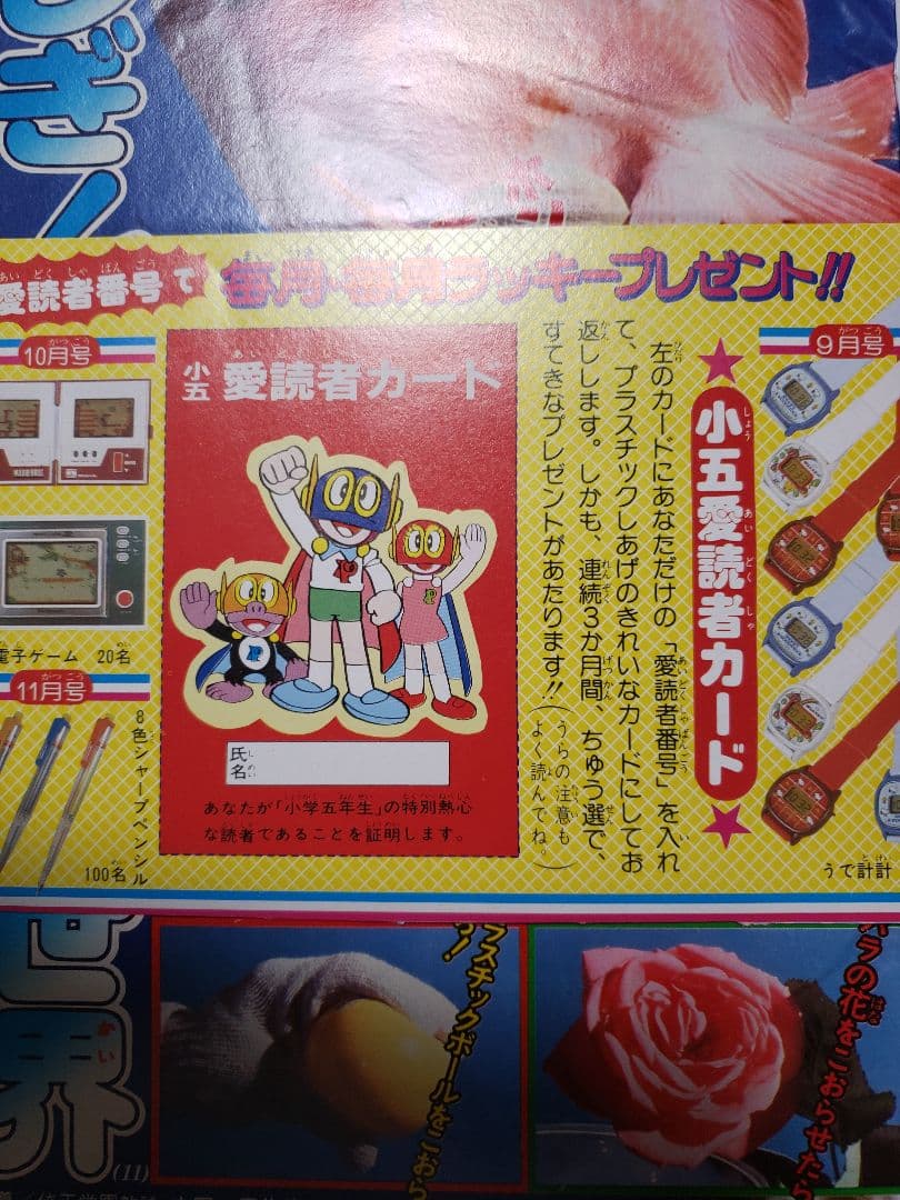 【貴重入手困難】小学5年生　1983年7月号　小学館