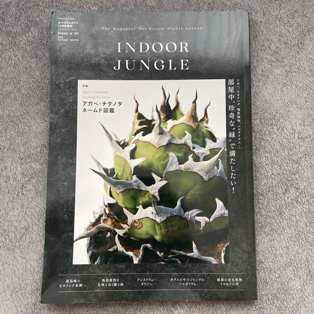 【まとめ売り】INDOOR JUNGLE インドアジャングル　1.2.3.4