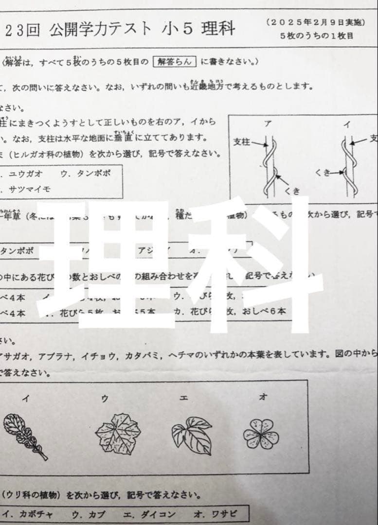 yyes様
