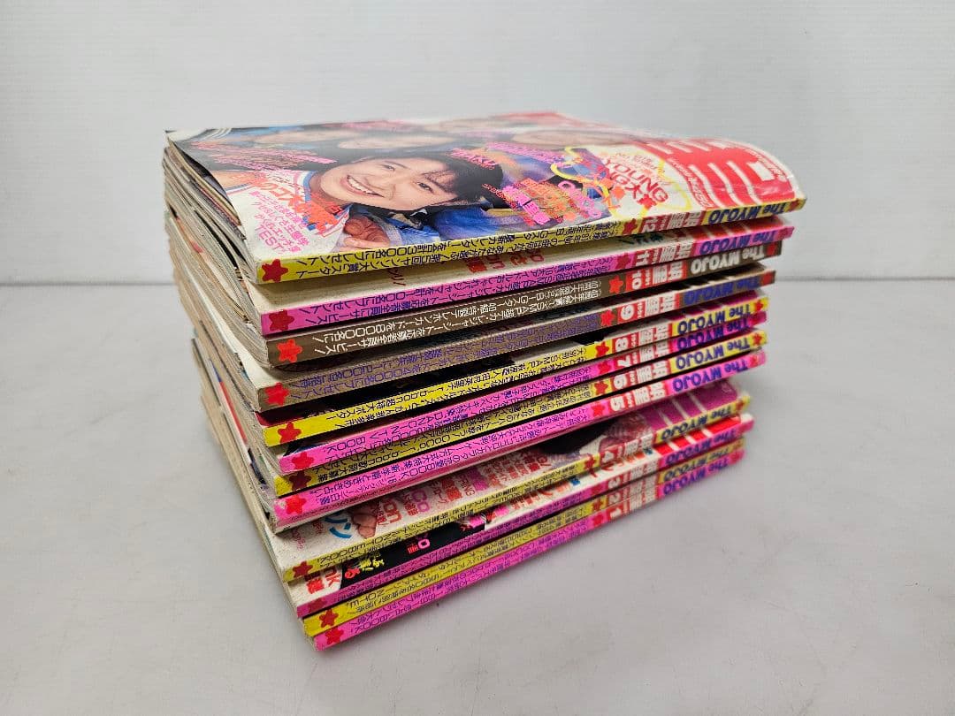 1991年１月号～12月号全巻コンプリートセット！明星 集英社/付録 ポスター付