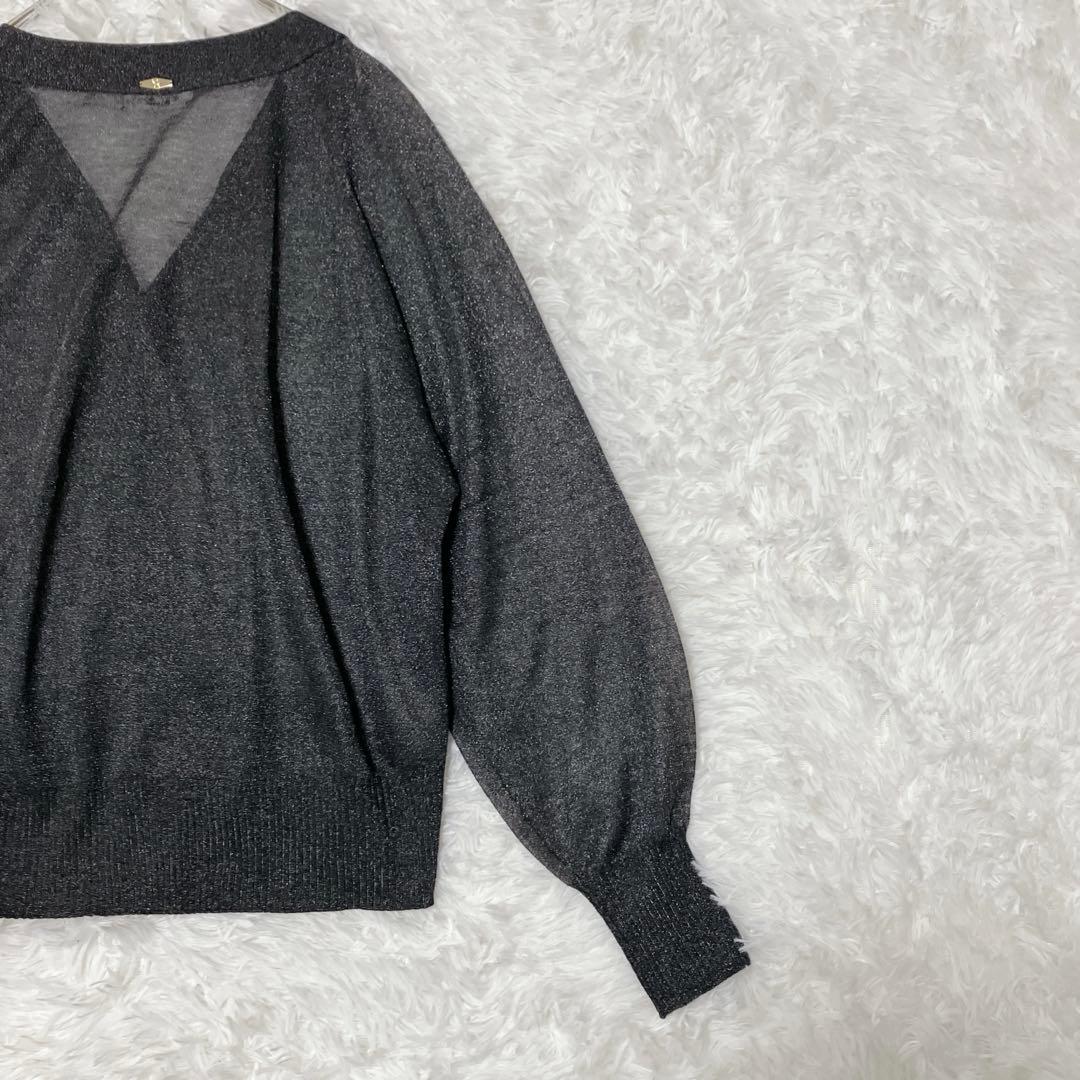 新品タグ付 SALON adam et ropé ブライトラメVネックシアー