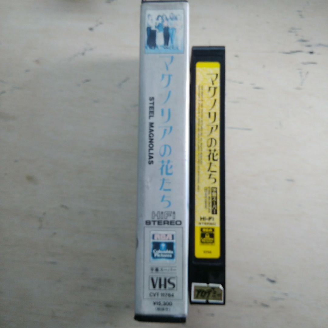 マグノリアの花たち　VHS　字幕版