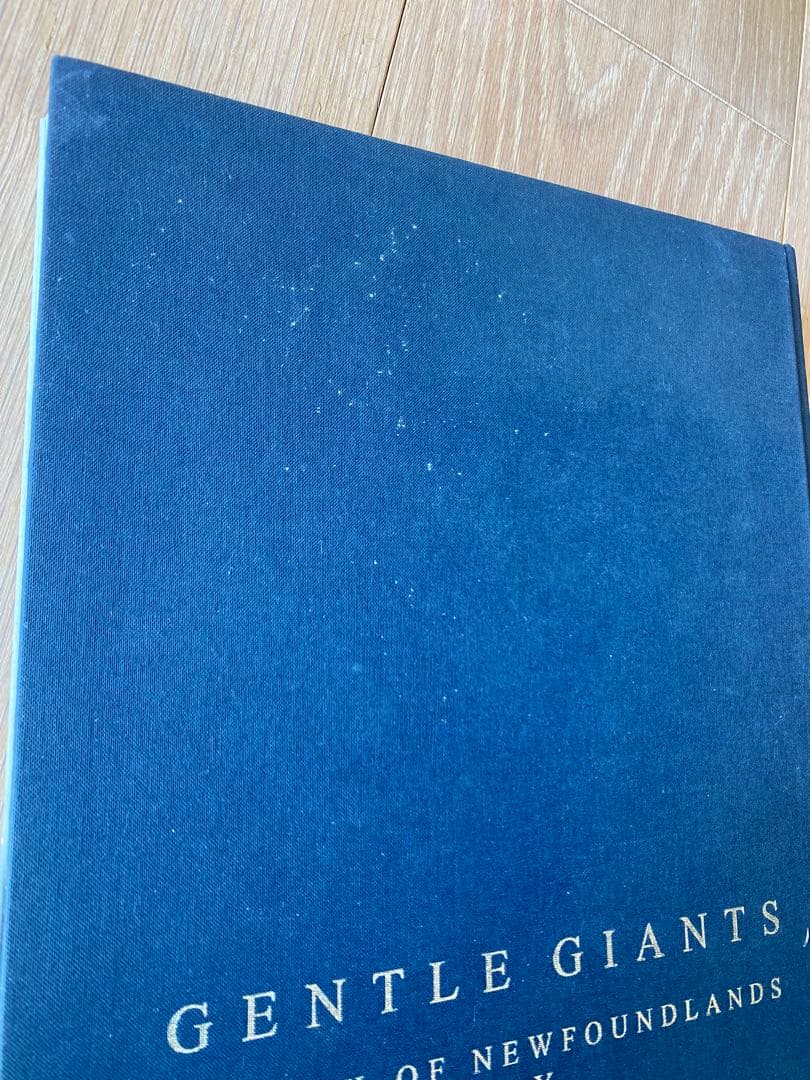 GENTLE GIANTS: ブルースウェーバー