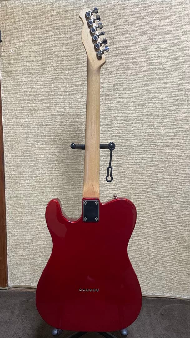 bucchusBTE1 テレキャスター