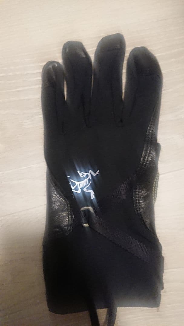 ★JIN アークテリクスAlpha SL Glove
