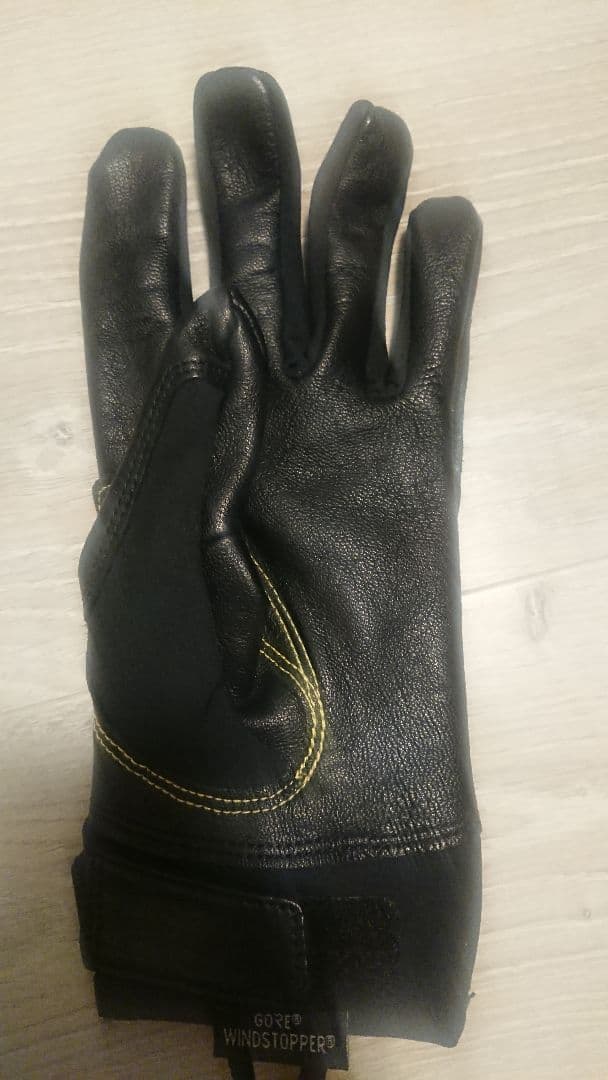 ★JIN アークテリクスAlpha SL Glove