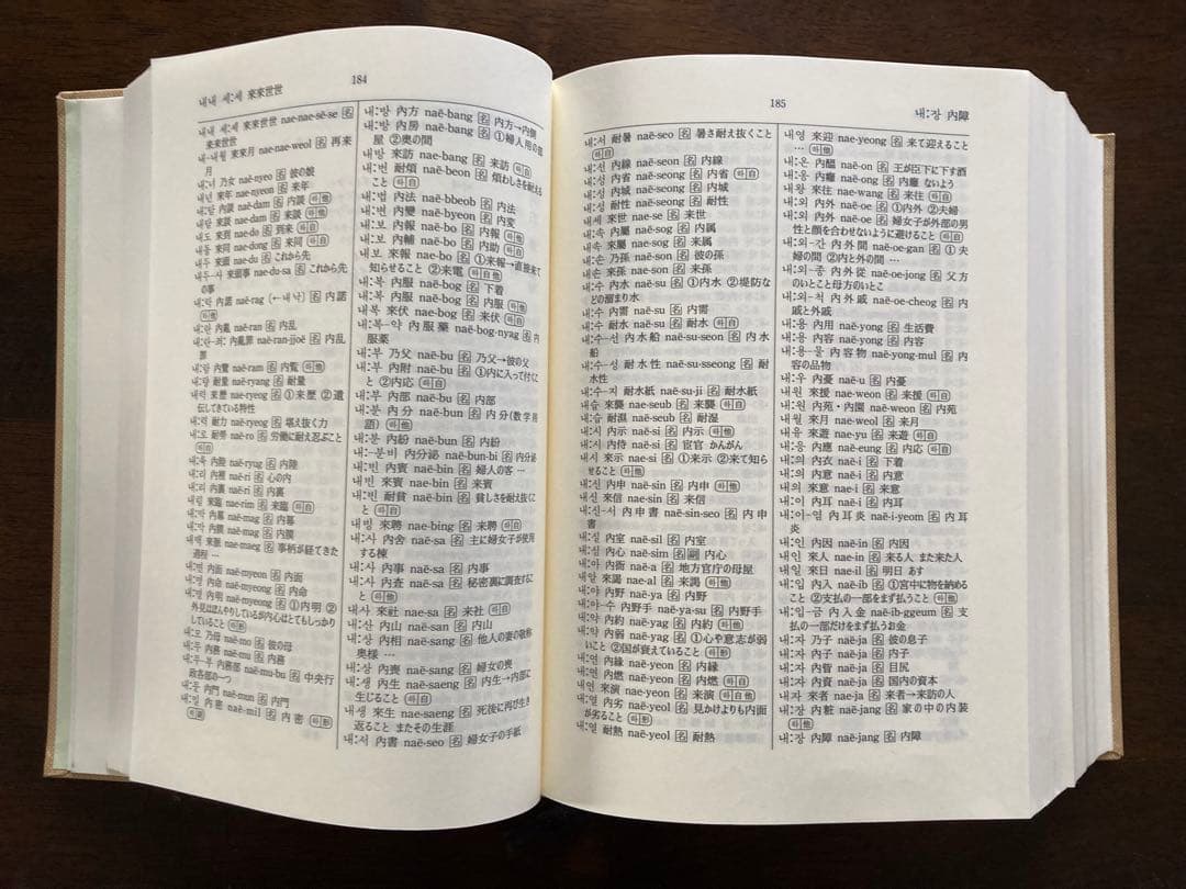 箱カバーなし/朝鮮語漢字語辞典（大学書林・1999年・A5判　約1500ページ）