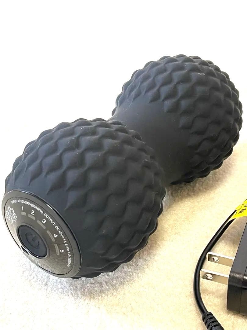 【最終値下げ】スポーツクラブ「ルネサンス」開発　シェイプツインボール【良品】