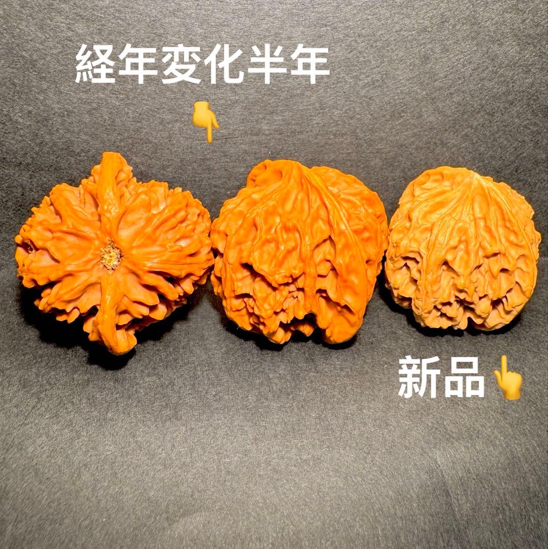 【半年育成品】遊びクルミ 文玩核桃・苹果園ペア（アップルエン）41mm 経年変化