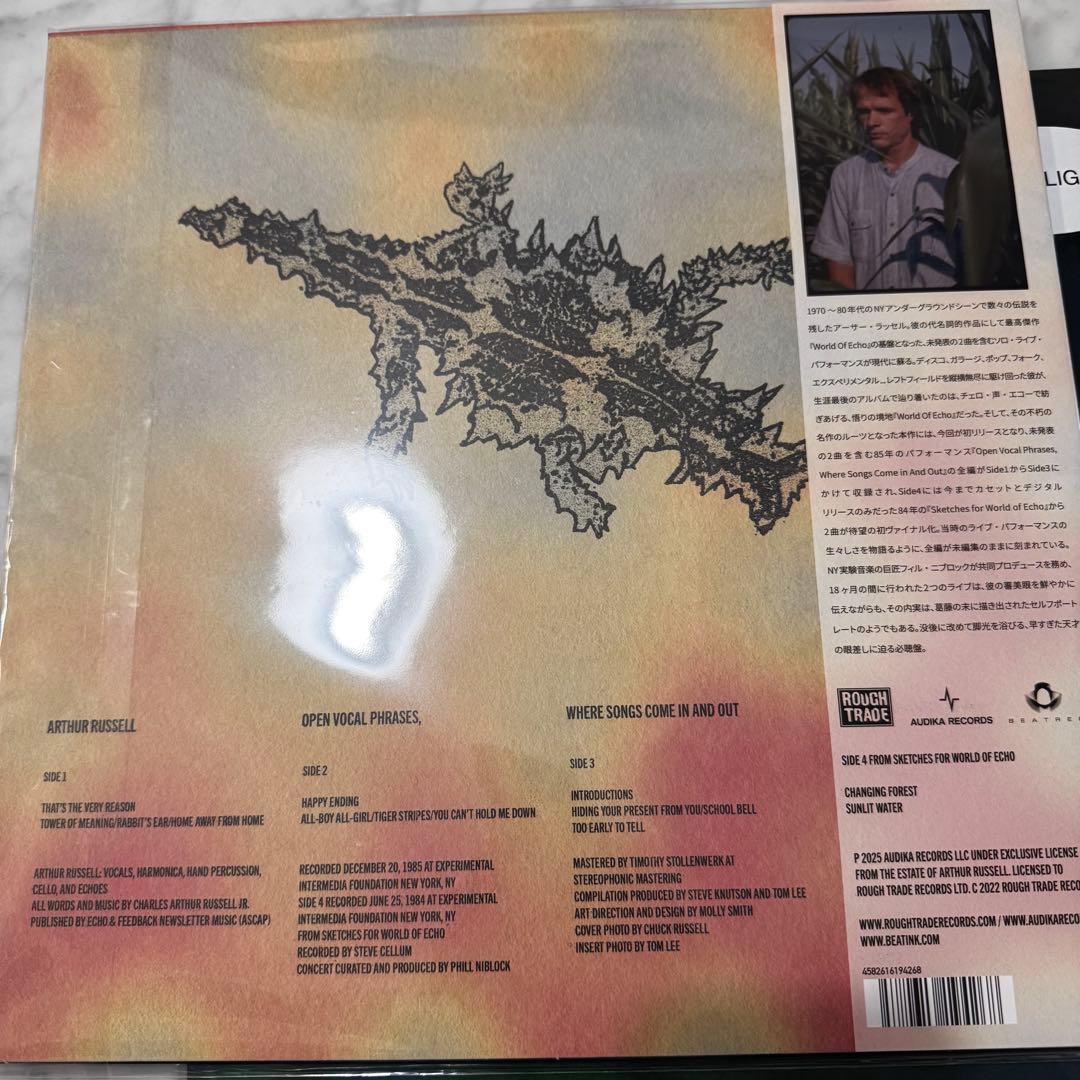 アーサーラッセル　Arthur Russell 2枚セット　LPレコード