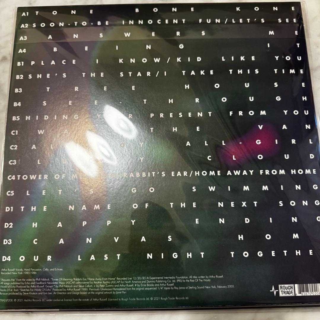 アーサーラッセル　Arthur Russell 2枚セット　LPレコード