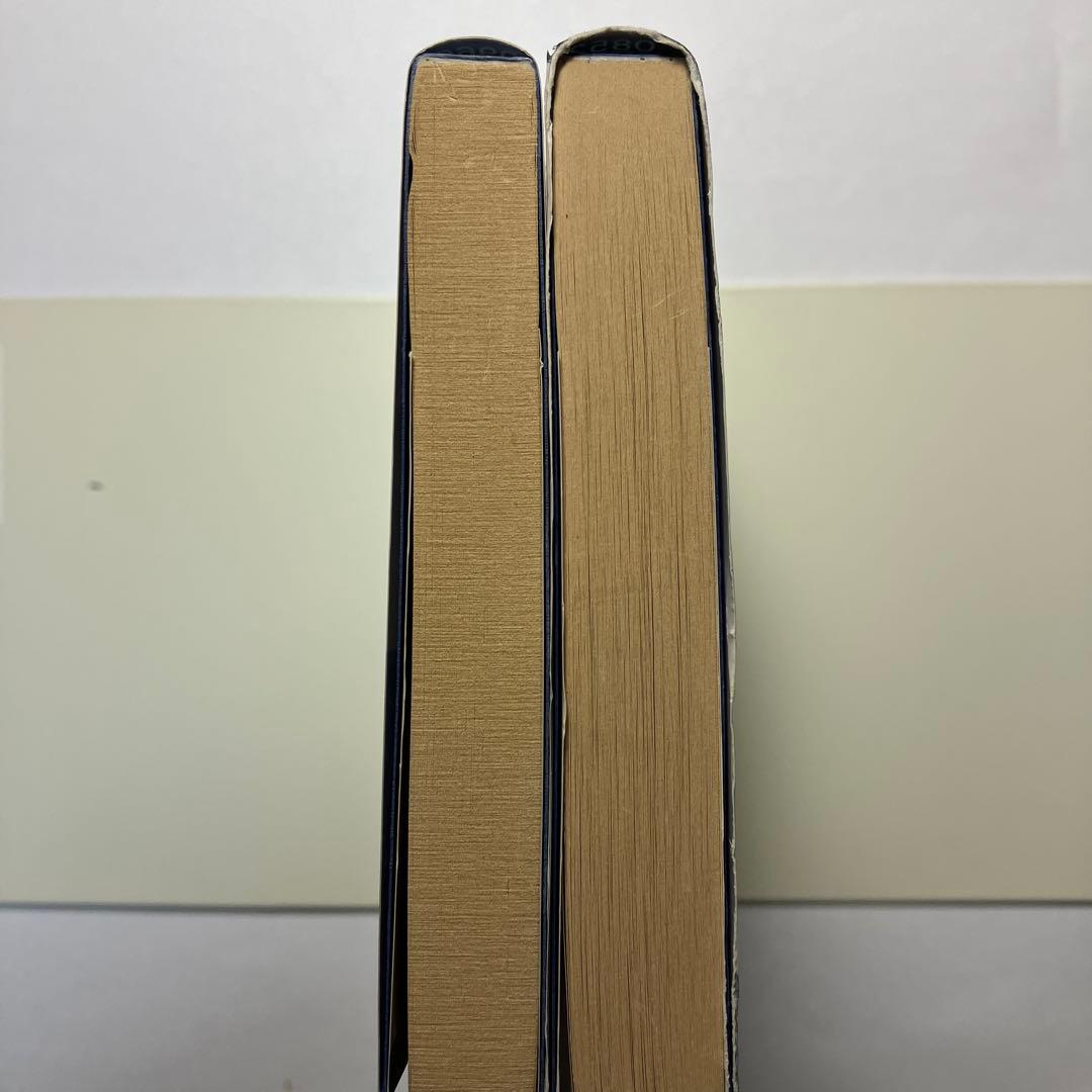 官能小説セット(海堂剛)￼2 フランス書院　官能小説　　バラ売り可