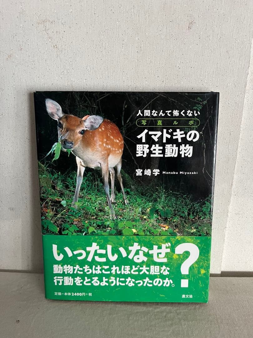 希少 宮崎学 7冊セット 写真集 動物写真