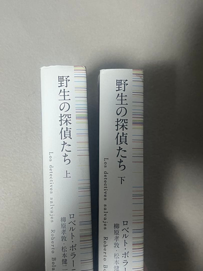 ロベルト・ボラーニョ 野生の探偵たち 上下　セット 白水社