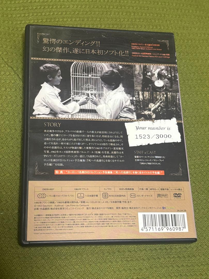 ふくろうの河 DVD 中古