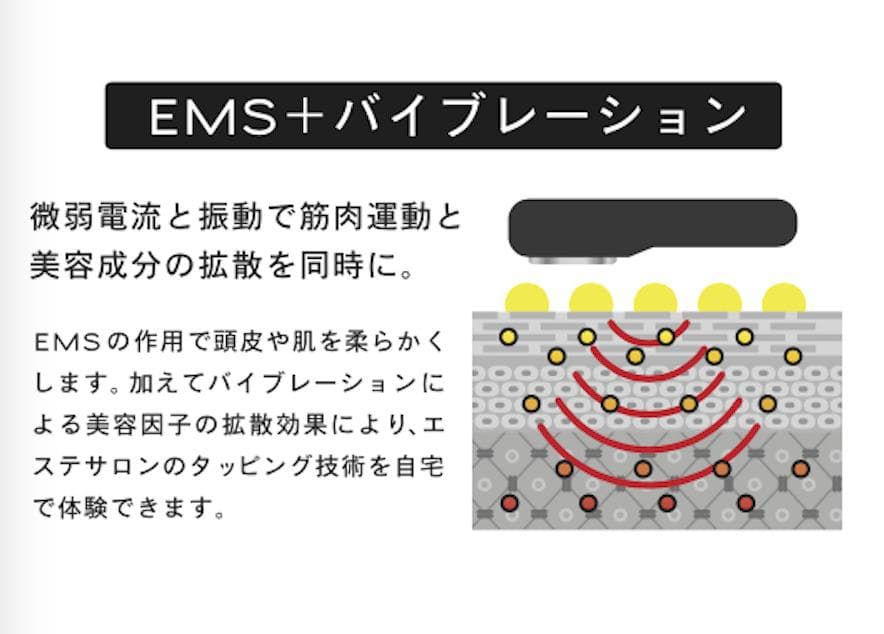 限定未使用品107,800円TILLETティレットゴールドブラック電気バリブラシ