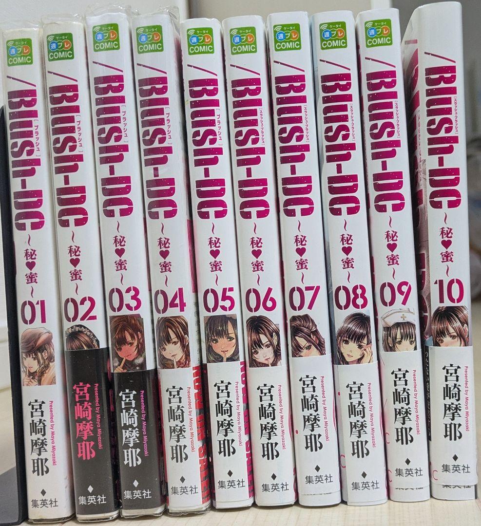 Blush-DC 10巻＋ Holy Knight 4巻 セット 宮崎摩耶