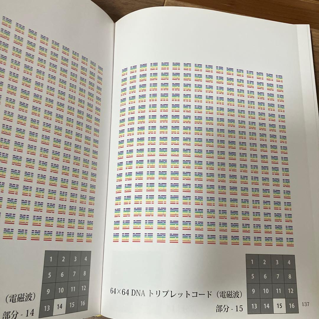 カタカムナ生命の書 図像集2 丸山修寛