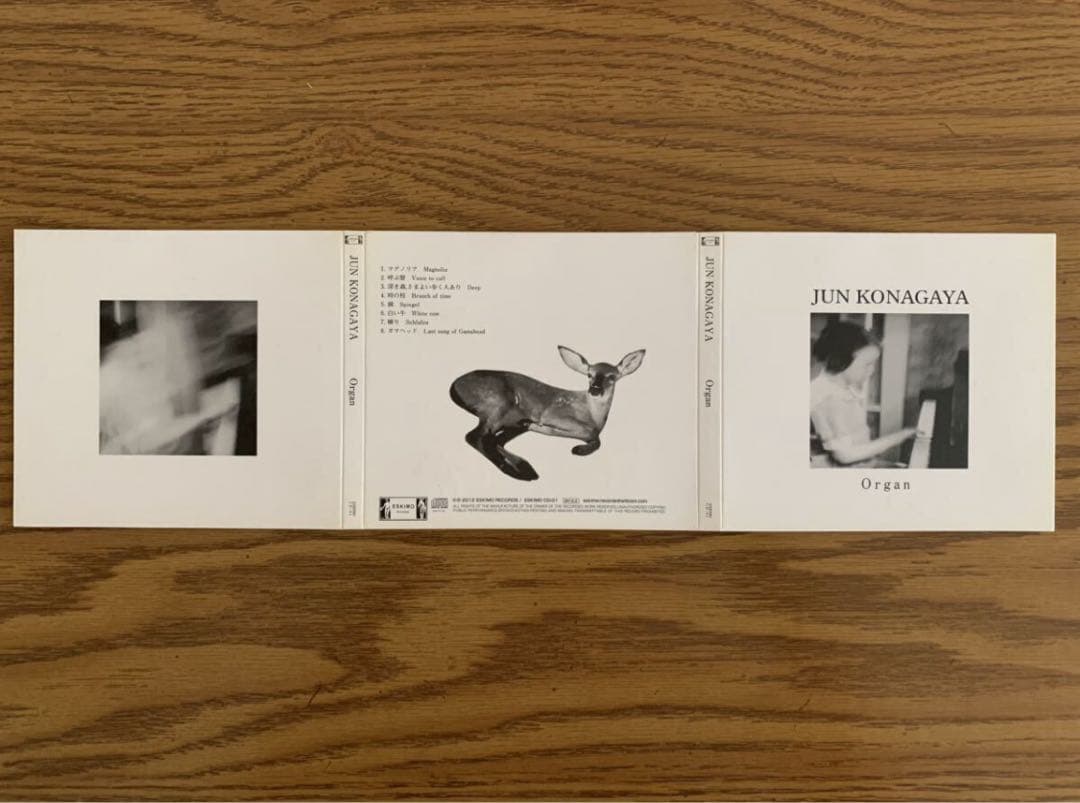 邦楽 JUN KONAGAYA Organ GRIM WHITE HOSPITAL