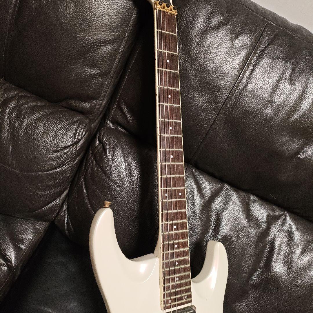 N*T様 AriaProII MAGNA series MA-650