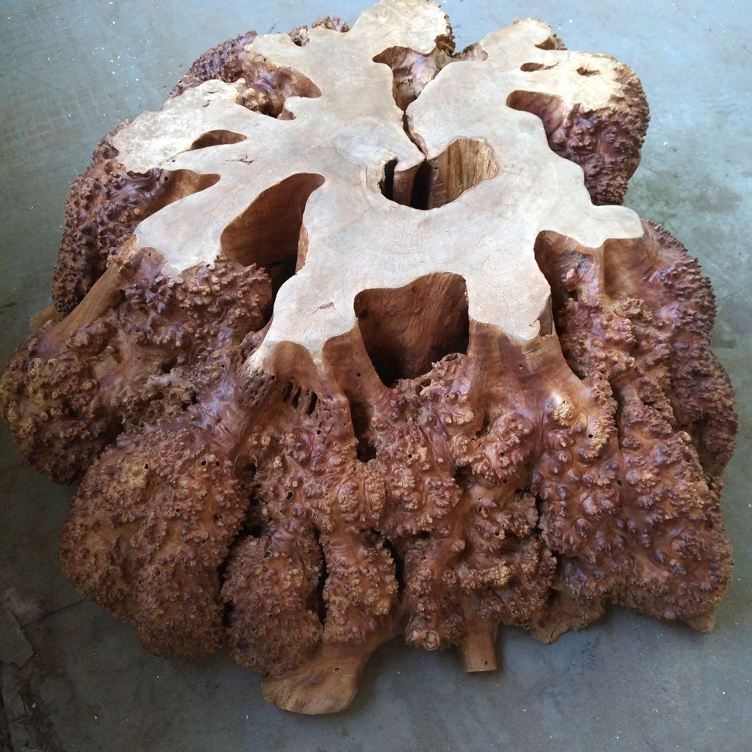 瘤のオブジェ・木製・無垢・天然木・切り株・飛騨産