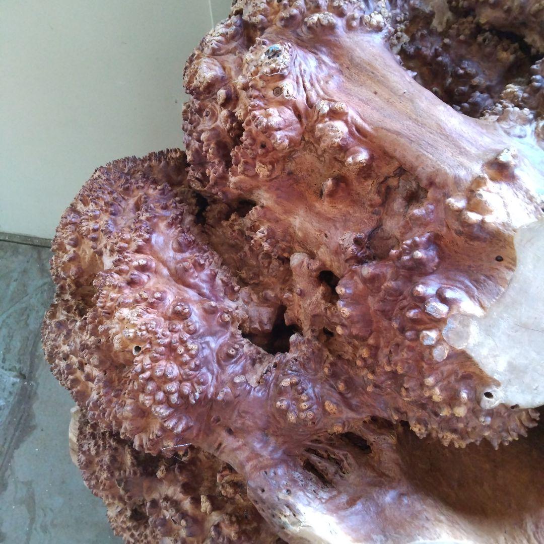 瘤のオブジェ・木製・無垢・天然木・切り株・飛騨産
