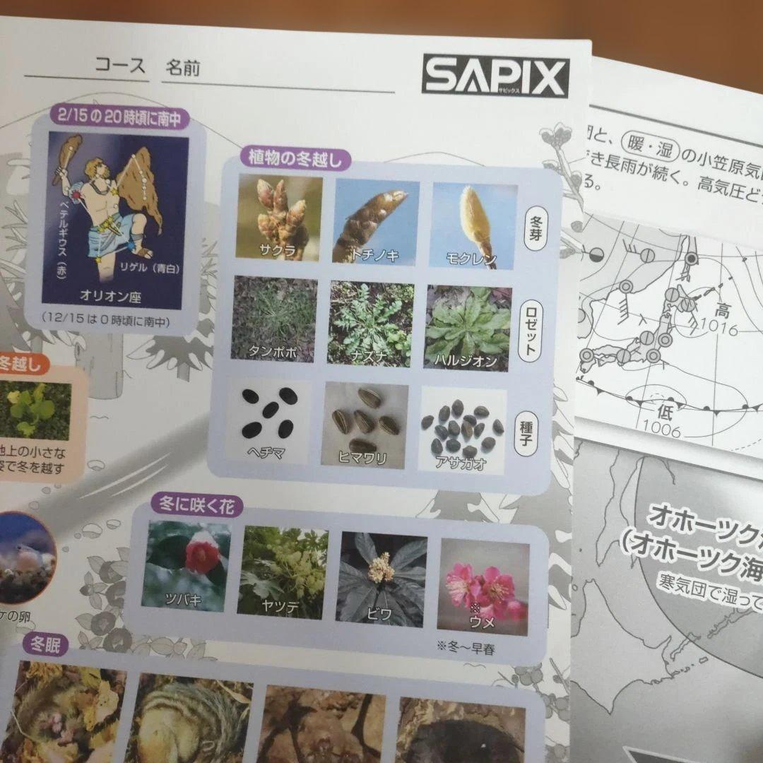 サピックス　SAPIX 小学5年 理科 教材　通常授業 夏期講習 など
