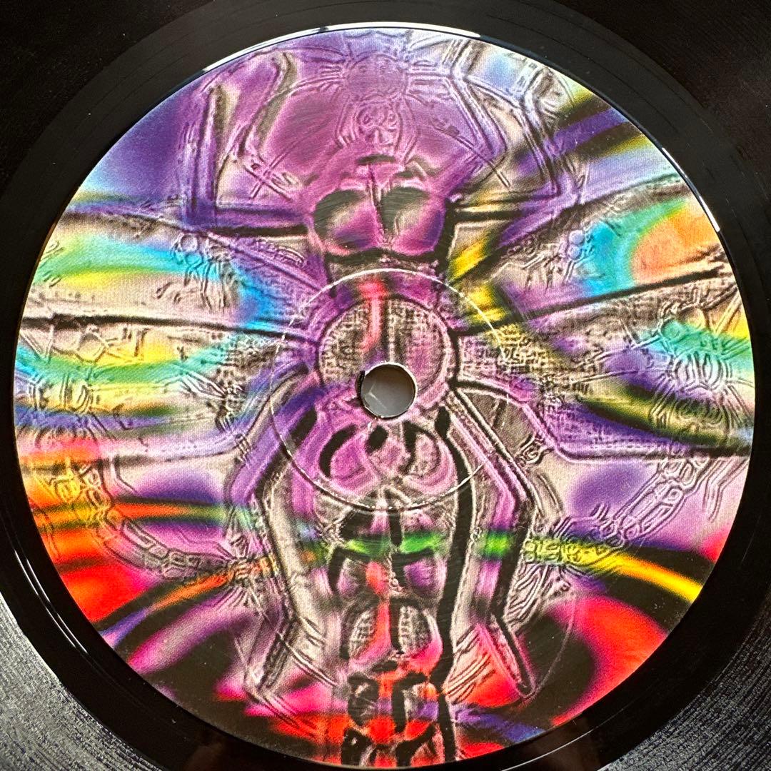 洋楽 DragonflyRecords OrderOdonataExperiments