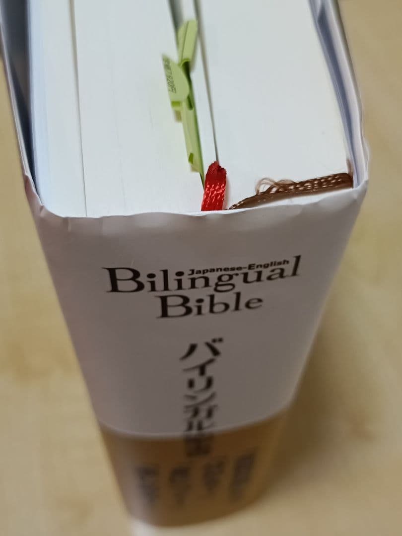 Bilingual Bible バイリンガル聖書 新改訳2017/ESVカバー付