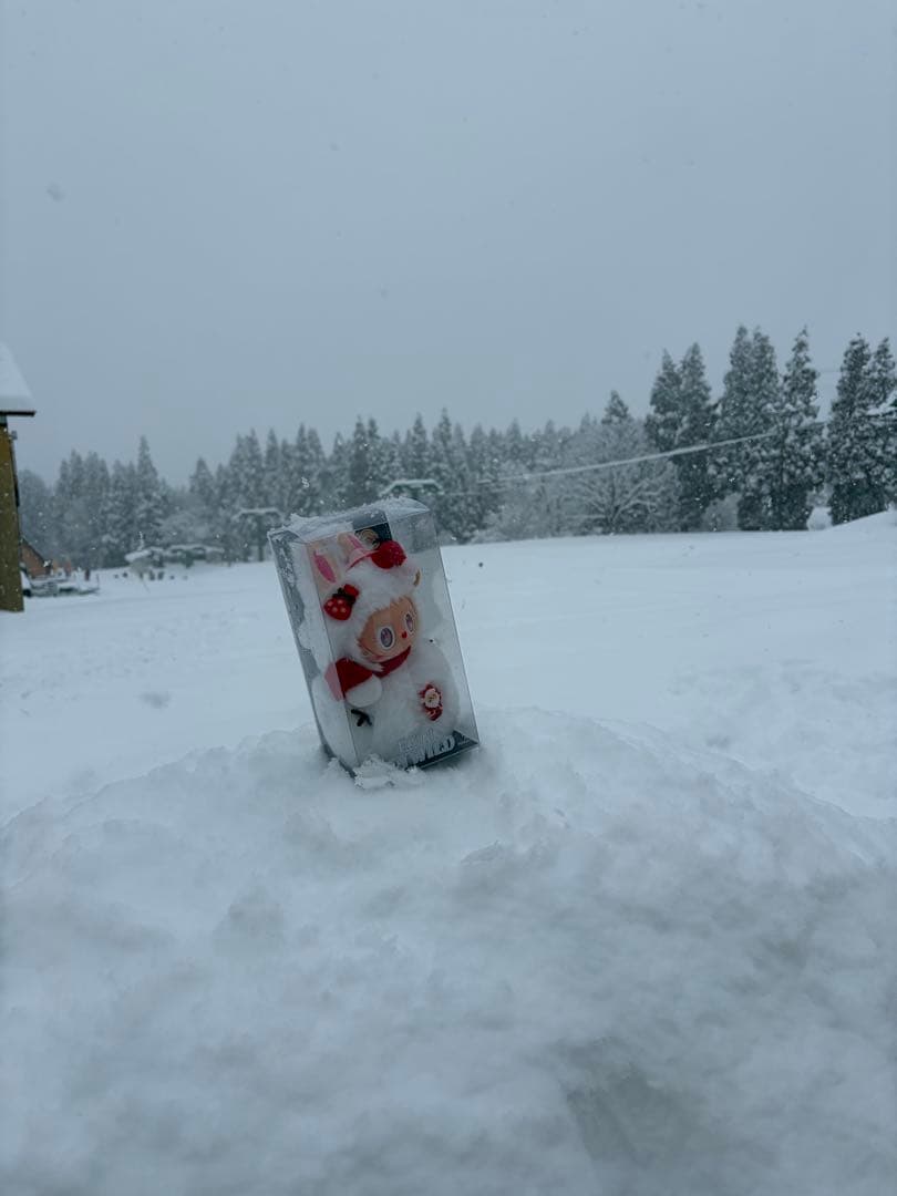雪だるとドラえもんセット　専用ページ