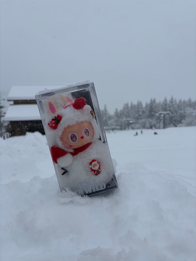 雪だるとドラえもんセット　専用ページ