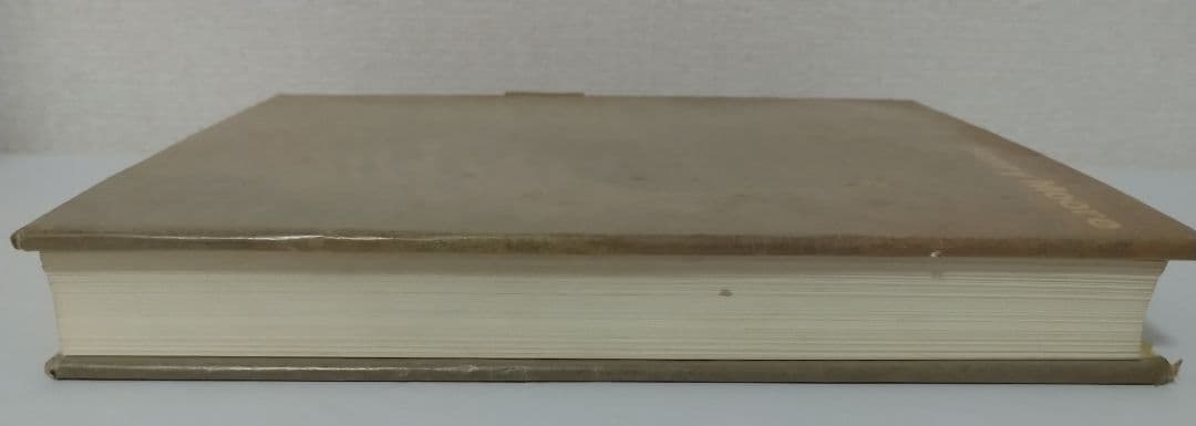 洋書 ヘンリー・ムーア ドローイング Henry Moore Drawings