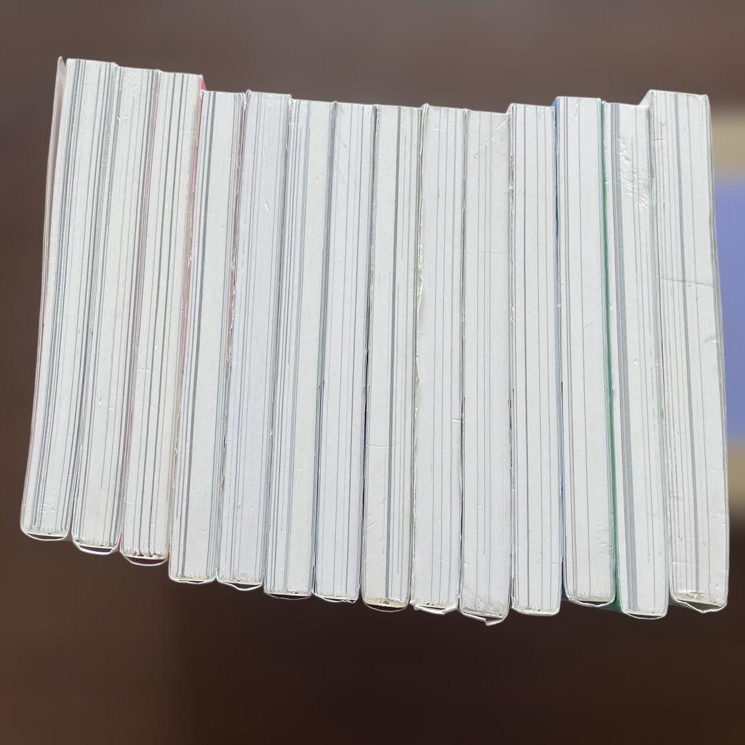 私のことを憶えていますか 全14巻