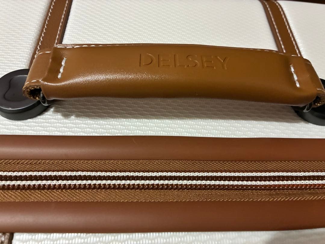 【値段変更しました】DELSEYキャリーケース