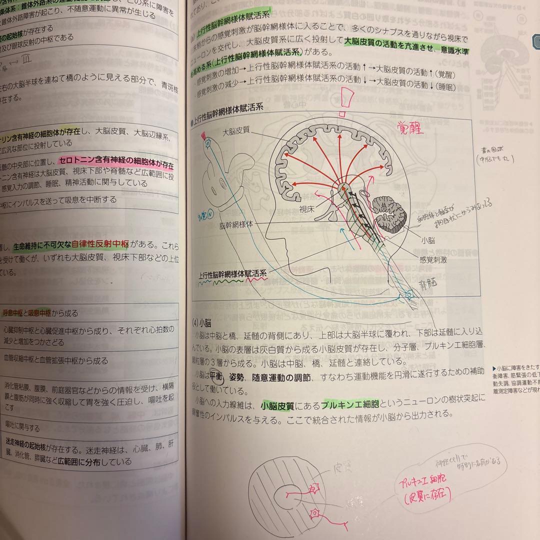 第111回薬剤師国家試験対策参考書　(青本・青問)